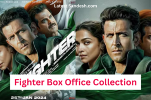 Fighter Box Office Collection